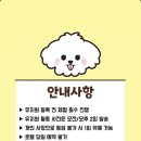 꼬순내유치원 이미지