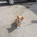 사산경로당 이미지