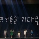 청담고양이 이미지