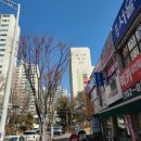 분당 재건축상가 임장 후기