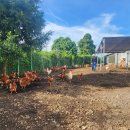 우리팜스 이미지