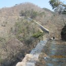 대종목장 Daum카페