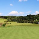 TOP스크린골프존 이미지