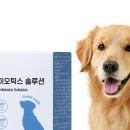 모모하우스 이미지