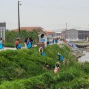 발산천 이미지