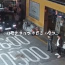 보행자전용도로 이미지