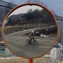 청룡간이 네이버블로그