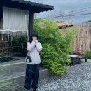 스테이더담 가곡 이미지