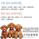 시니어 동물병원 이미지