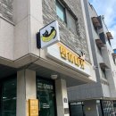 일산고양이분양&미용 반하나캣 이미지