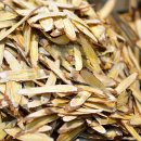 도안종로한약국 이미지