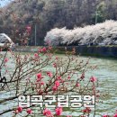 신창제4어린이공원(솔솔) | 함안 가볼만한곳 4월 함안여행 무진정, 입곡군립공원, 온새미로 공원 경남 출사지 직접 방문 후기