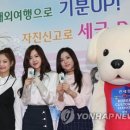 인천세관 이미지