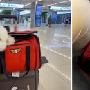 우림카써비스 이미지