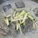 스테이 서하 이미지
