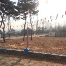 여주-0005 Daum카페