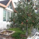 뉴한길공인중개사사무소 이미지