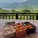 강변연가 | 경남 하동 가성비 녹차밭뷰 조식 주는 감성 숙소 도시고양이생존연구소 섬진연가 후기