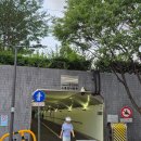 세븐일레븐도봉개나리공원점 | 서울 한강공원 피크닉 장소 추천, 양화한강공원 나들이