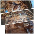 백세족욕 머리하는날 | 속초여행 가족외식 맛집 백세가든 한방능이 백숙 후기