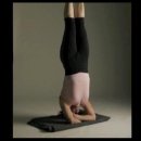 2012 코리아요가 컨퍼런스 해외강사(말라 앱트 Marla APT - Iyengar Yoga) 이미지