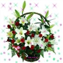 H공인중개사사무소 이미지