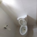 현대카랜드 이미지