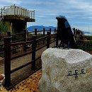 강화섬공인중개사사무소 이미지