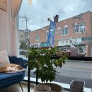 나비미용실 | 강릉 미용실 반함헤어 뿌리염색 후기 ✨ 고양이 ‘나비’와 함께한 힐링 시술 타임🐾