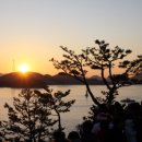 신년해맞이(취소) 이미지