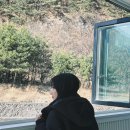 딥플리슬로우리 이미지