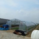 램프공인중개사사무소 이미지