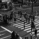 다이소 앞 횡단보도 이미지