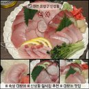 신야 | [대전 신야] 대전 신성동 일식 이자카야 추천｜대전 대방어 숙성회 맛집 신야 후기