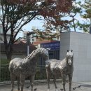 면목동-200 이미지