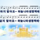 8. 생명책 내 이름 / 잘난 척하지 말아요 [어캠찬양 29집, 율동+악보+MP3] 이미지