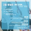 요가로움 - 태백시 해지개길 13 | 요가로움