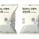 청소하는고양이 이미지