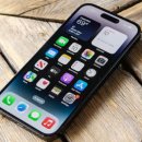 생활속 스마트폰 활용 이미지