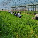 나라마켓 이미지