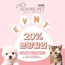 아담스펫 강아지분양 고양이분양 창원점 이미지