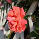 춘의역 (7번 출구) 이미지