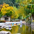 또올래캠핑장 이미지