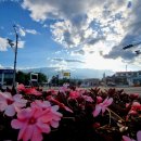 강현면사무소 이미지