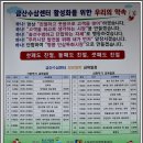 금산인삼센터