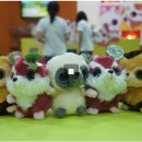 짜잔형의 안전 교육 | 캐릭터 페어에서 만난 EBS 공개 방송 - 모여라 딩동댕