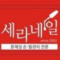 세라네일 이미지