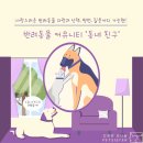 펫친구 이미지
