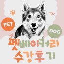 더펫레시피 | 진심이 담긴 펫베이커리수강후기, 그림 선물로 전한 따뜻한 교감