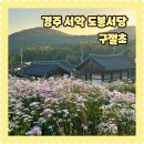 11월 경주여행 경주 도봉서당 구절초 방문후기 현지상황 주차정보